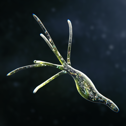 孢子的起源游戏