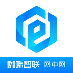 网中网软件