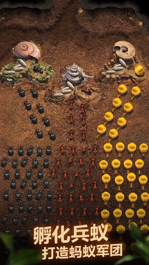 小小蚁国手机版下载