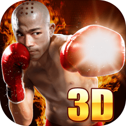 真实拳击对决游戏