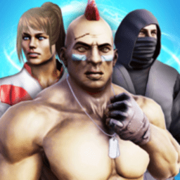 真正的格斗小游戏免费版